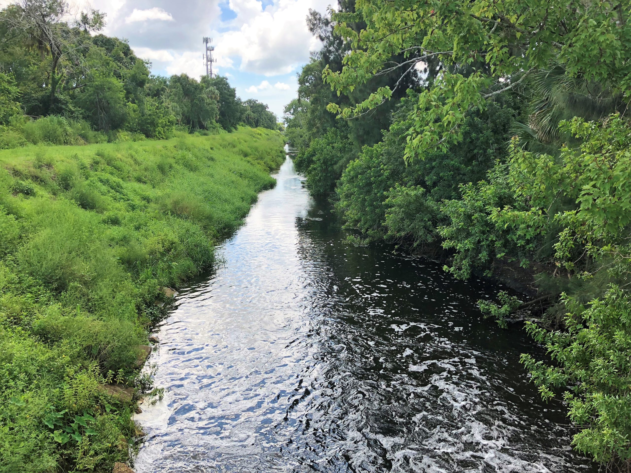Crane Creek M1 Canal Flow Restoration » Jones Edmunds