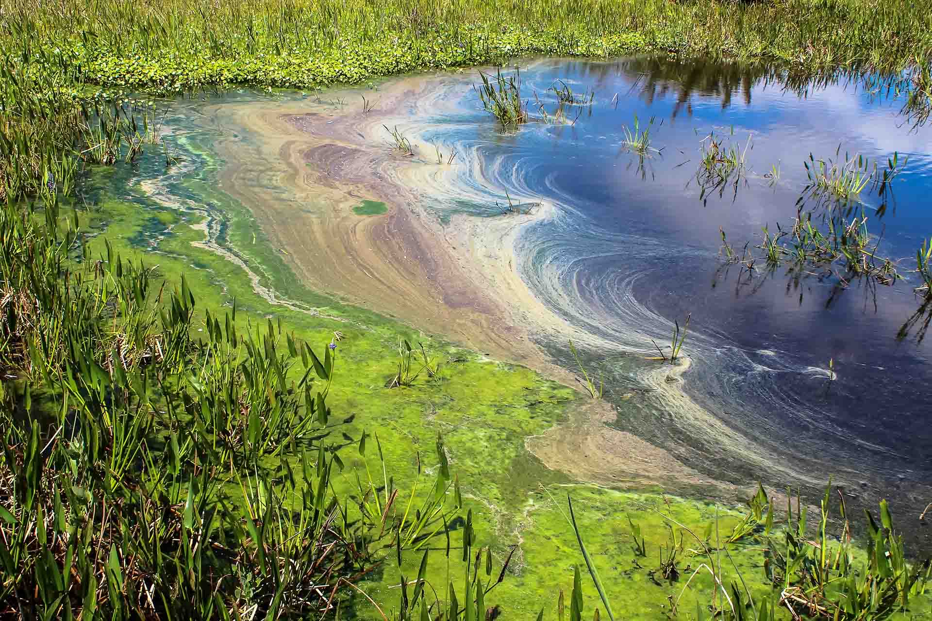 FDEP - Innovative Technologies – Water Quality & Harmful Algal Blooms