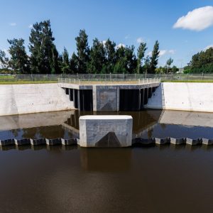 250811-Branding-JE-Project-HibiscusMelbourne-0012-MattPendleton