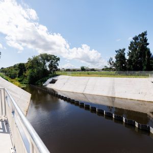 250811-Branding-JE-Project-HibiscusMelbourne-0014-MattPendleton