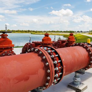 250811-Branding-JE-Project-HibiscusMelbourne-0080-MattPendleton