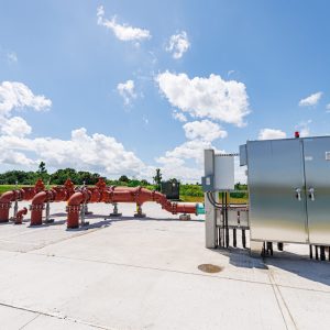 250811-Branding-JE-Project-HibiscusMelbourne-0091-MattPendleton