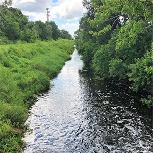 WTR_SJRWMD_CraneCreekM-1CanalFlowRestoration_Photo-scaled
