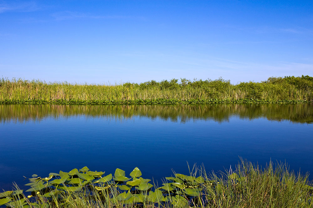 FDEP Assumes Permitting Authority from USACE Jones Edmunds